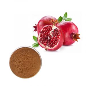 PomegranateP.E.
