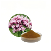 Valerian Root Extract