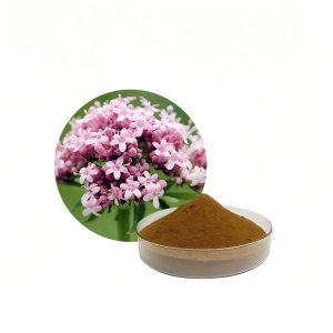 Valerian Root Extract