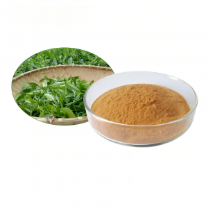 Green Tea Extract Powder