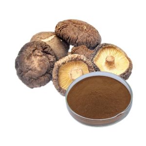 Shiitake Mushroom Extract Powder