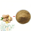 Ginger Extract Powder