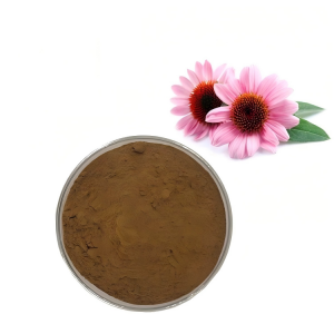 Echinacea Purpurea Extract Powder